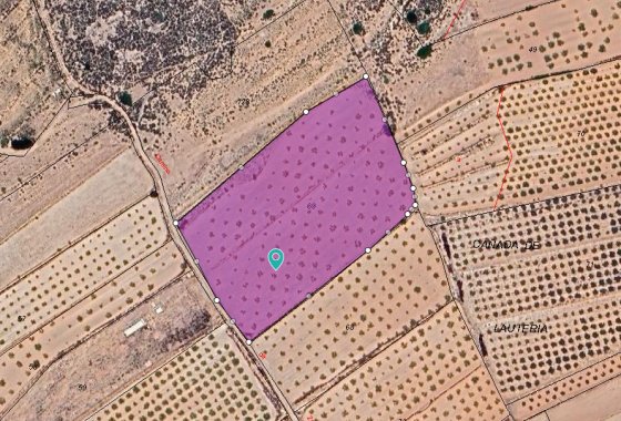 land - Reventa - Pinoso -
                Pinoso Centro