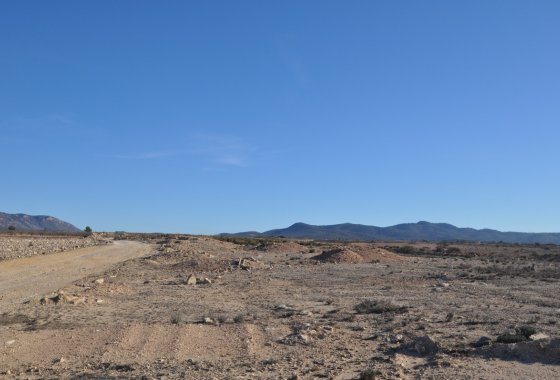 land - Reventa - Pinoso - Pinoso Centro