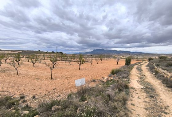 land - Reventa - Pinoso - Pinoso Centro