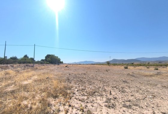 land - Reventa - Pinoso - Pinoso Centro