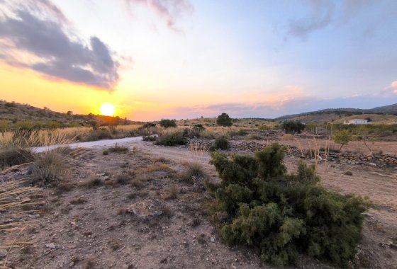 land - Reventa - Pinoso - Pinoso Centro