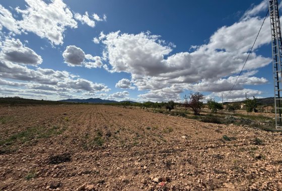 land - Reventa - Pinoso - Pinoso Centro