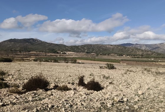 land - Reventa - Salinas -
                Salinas Centro