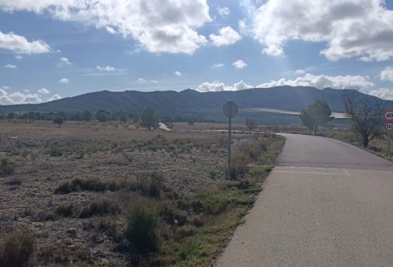 land - Reventa - Salinas -
                Salinas Centro