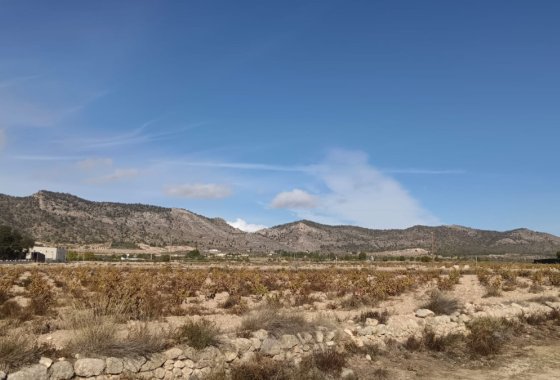 land - Reventa - Salinas - Salinas Centro