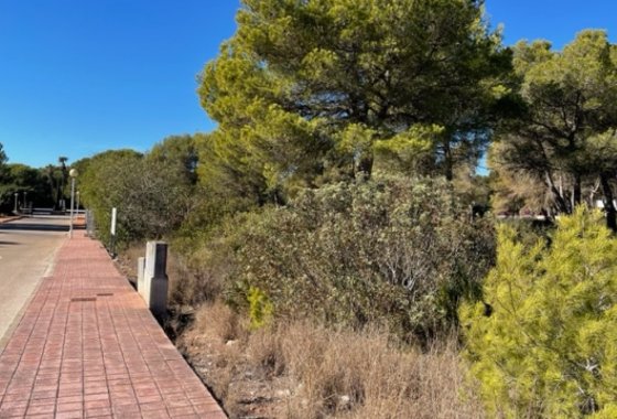 land - Reventa - Villajoyosa - La Cala