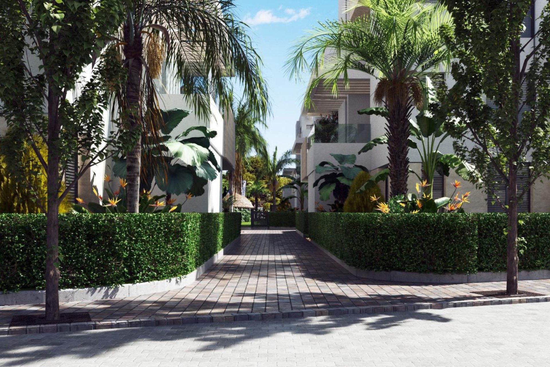 Obra nueva - Apartamento / piso -
Santa Rosalía