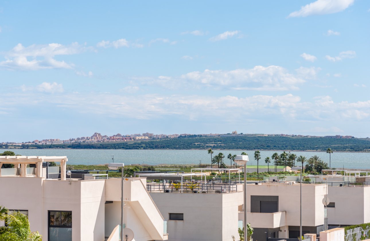 Obra nueva - detached -
Los Montesinos