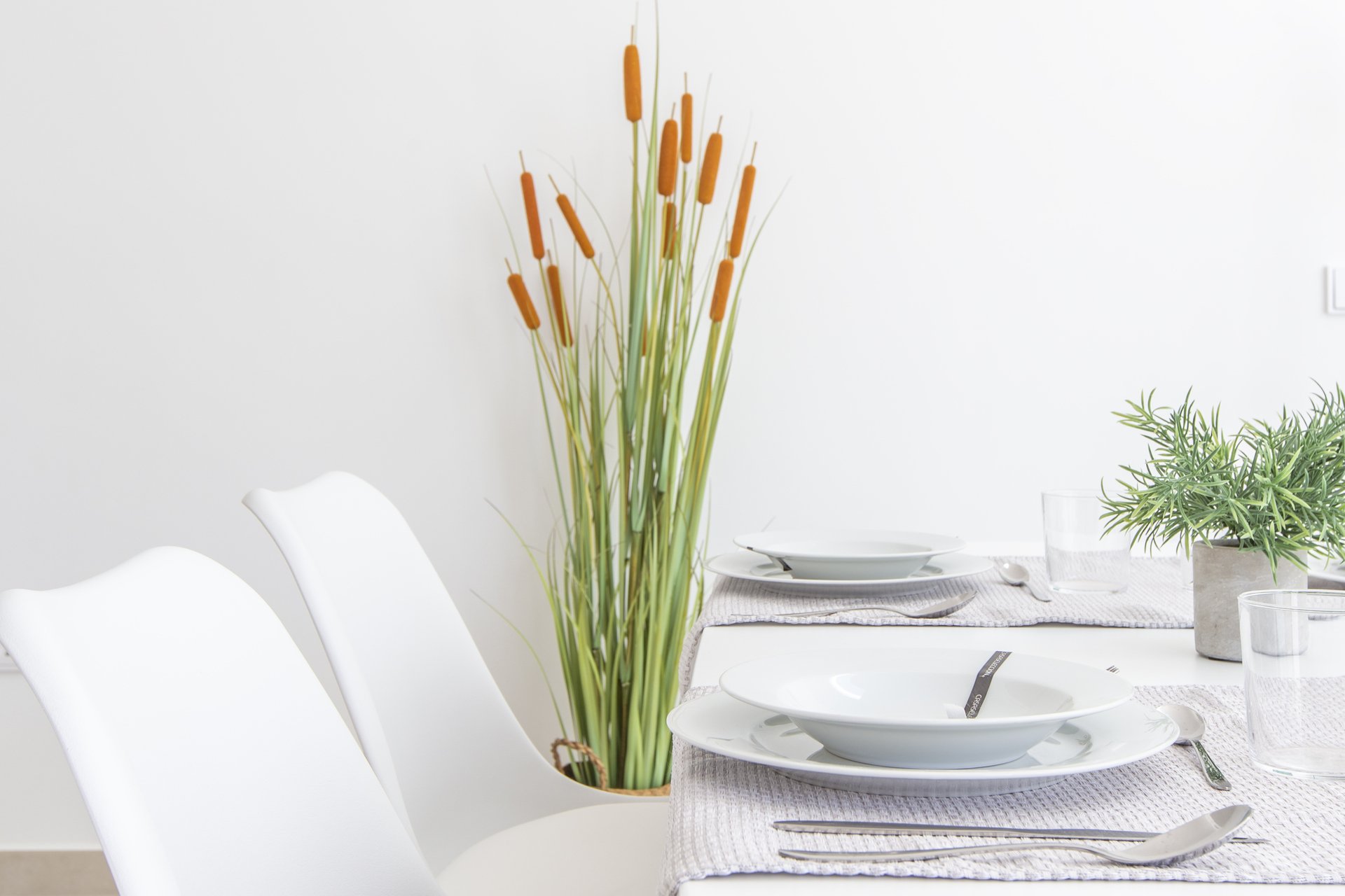 Obra nueva - detached -
San Javier