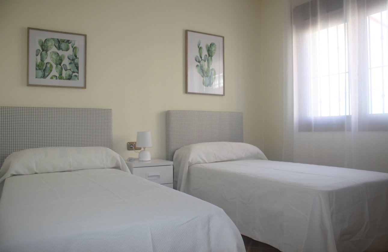 Obra nueva - detached -
Torrevieja