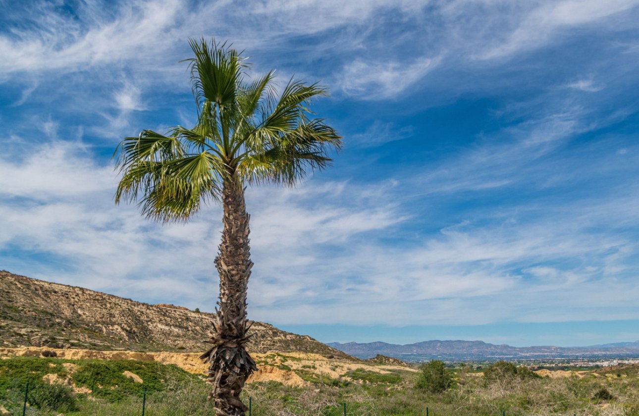 Resale - Apartment / flat -
Algorfa - Algorfa Centro