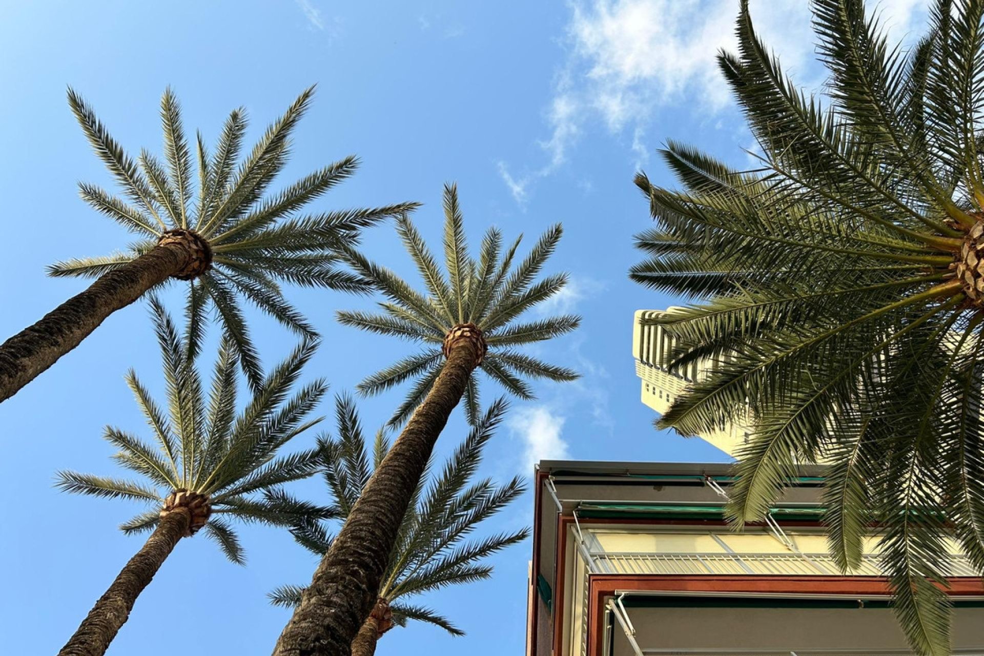 Resale - Apartment / flat -
Benidorm - Benidorm Centro