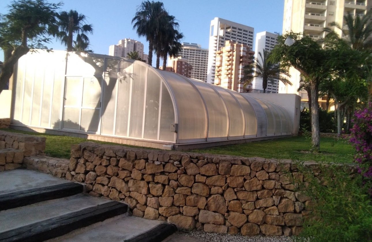 Resale - Apartment / flat -
Benidorm - Benidorm Centro