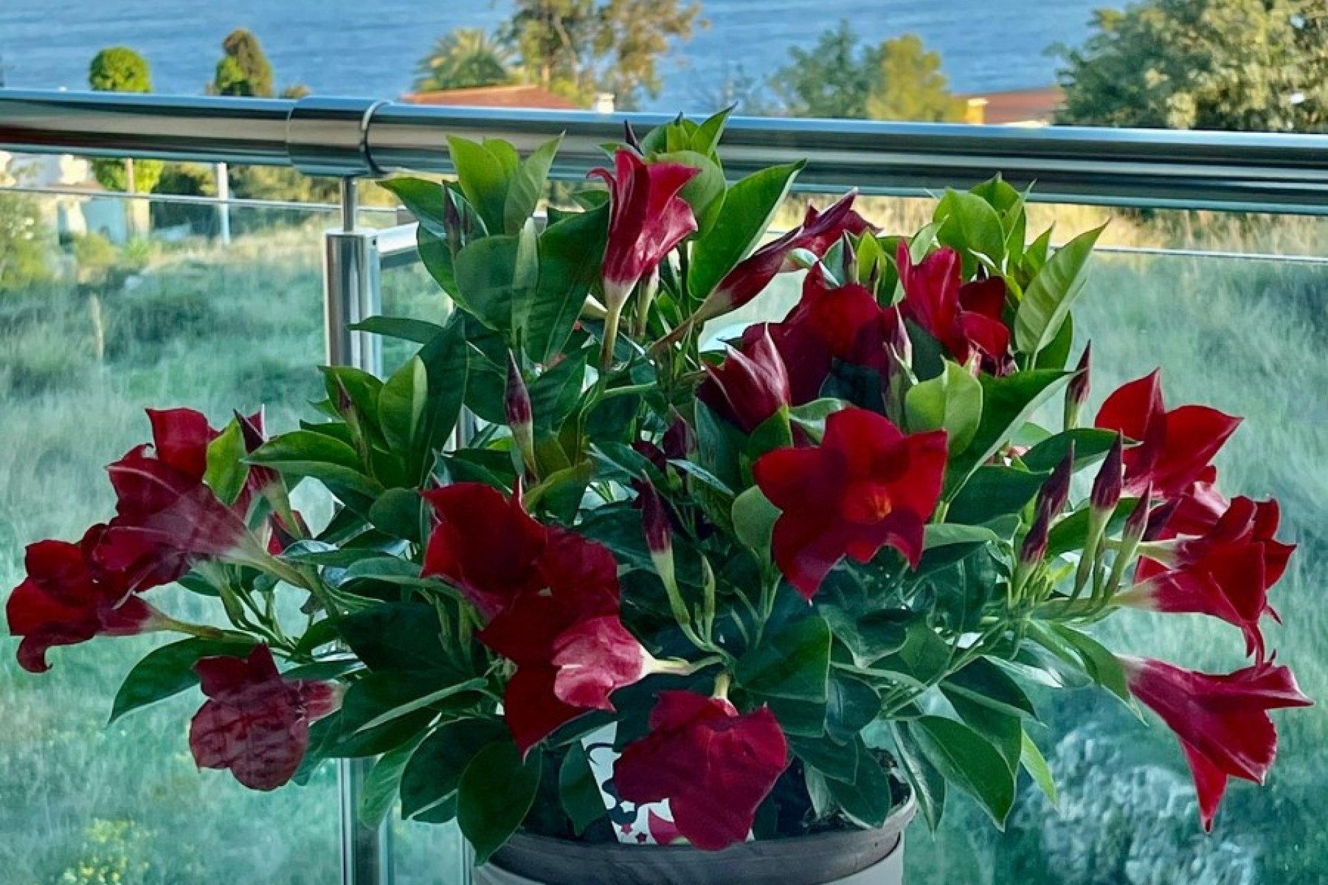 Resale - Apartment / flat -
Calpe - Calpe Centro