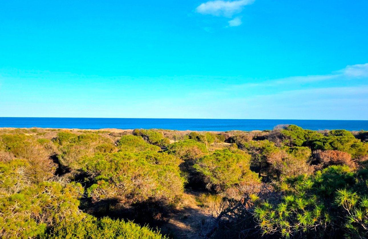 Resale - Apartment / flat -
Guardamar del Segura - Guardamar del Segura Centro