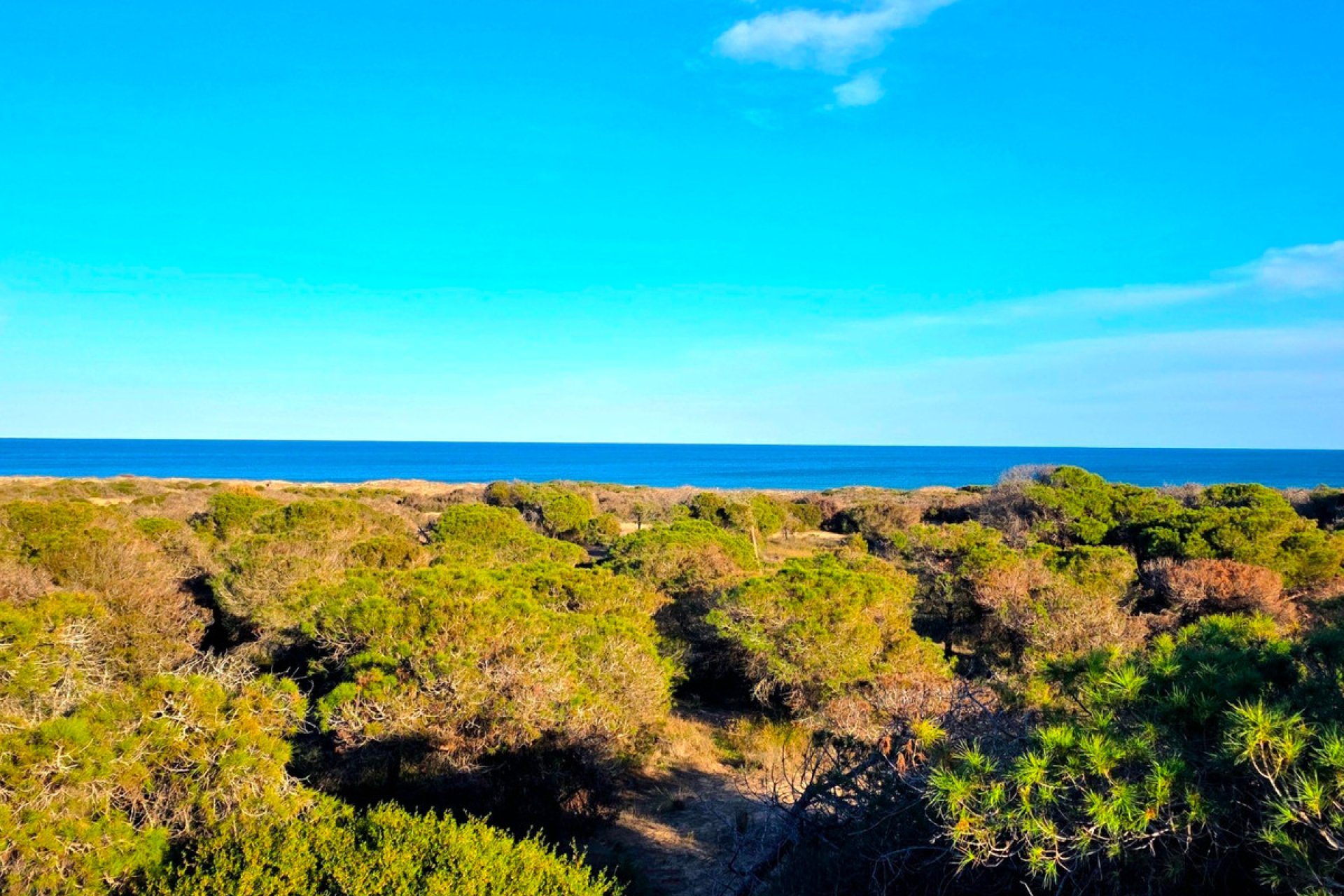 Resale - Apartment / flat -
Guardamar del Segura - Guardamar del Segura Centro