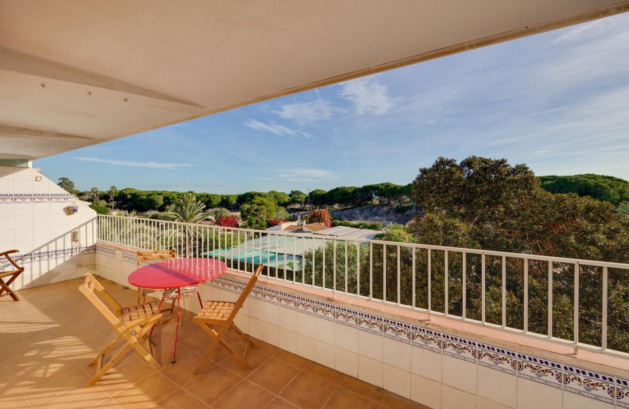 Resale - Apartment / flat -
Guardamar del Segura - Pinomar