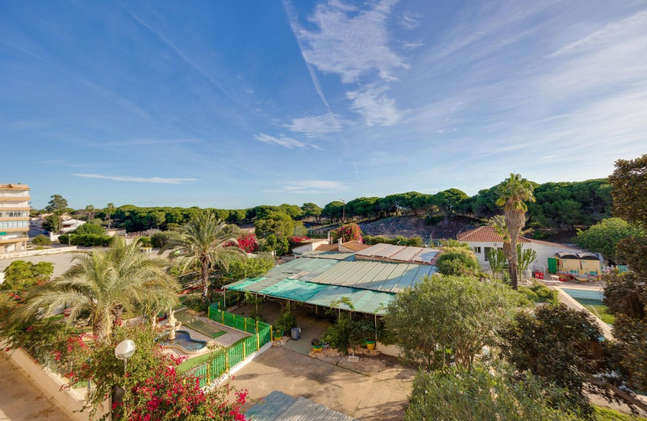 Resale - Apartment / flat -
Guardamar del Segura - Pinomar