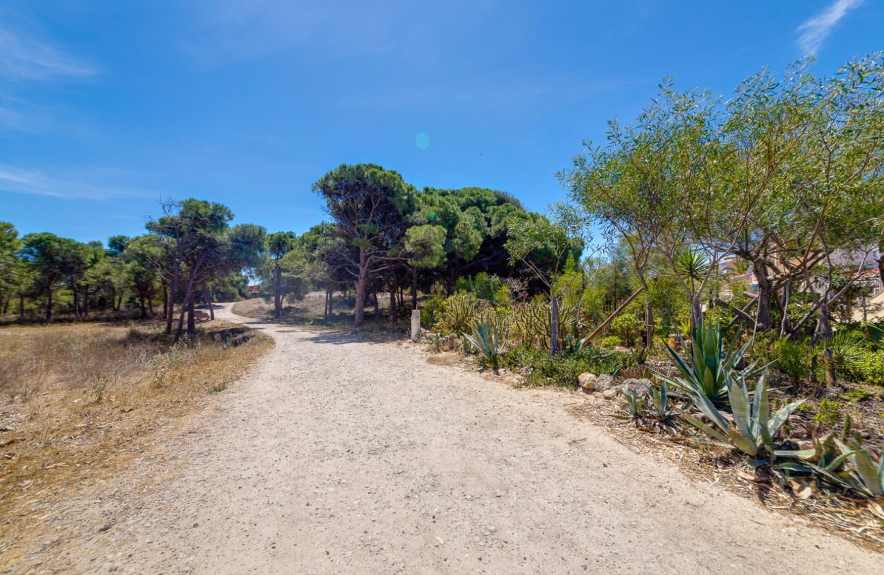 Resale - Apartment / flat -
Guardamar del Segura - Pinomar