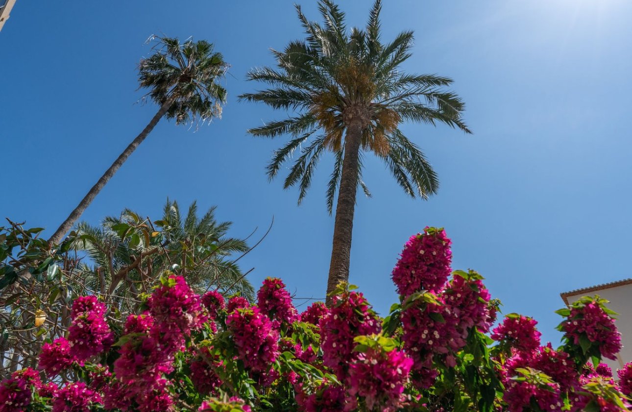 Resale - Apartment / flat -
Jávea - Xàbia - Jávea - Xàbia Centro