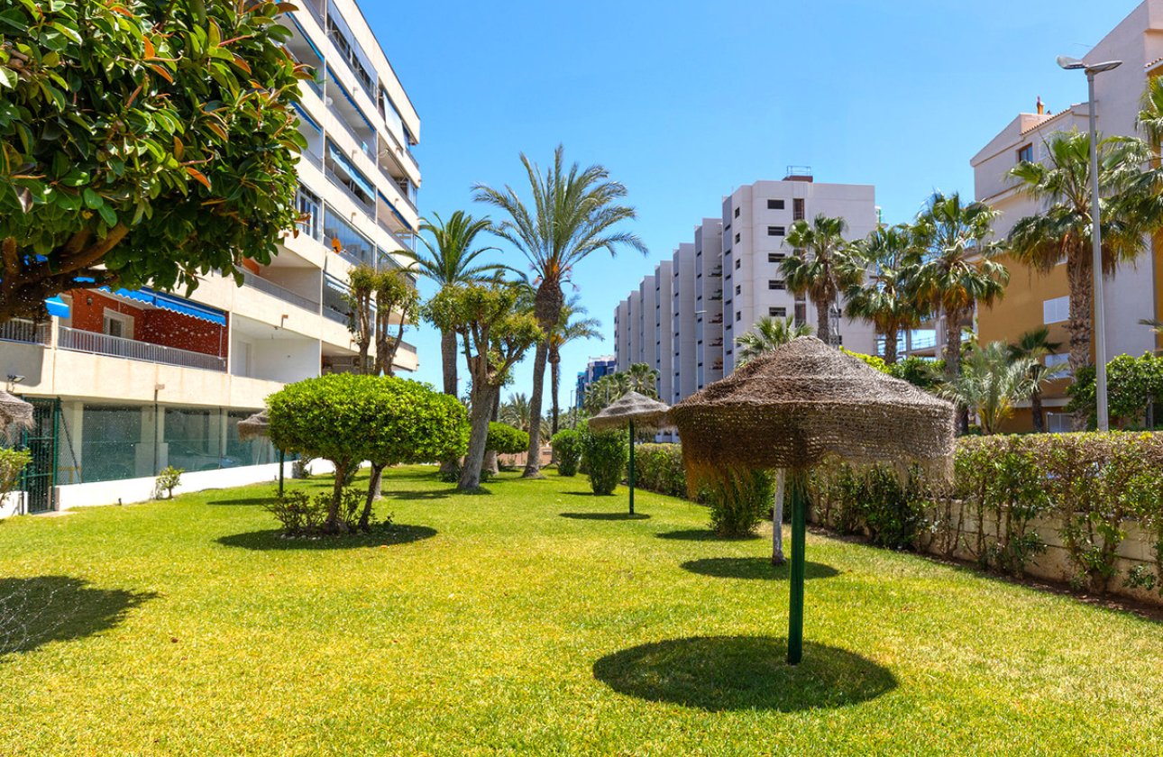 Resale - Apartment / flat -
Orihuela - Rocio del Mar
