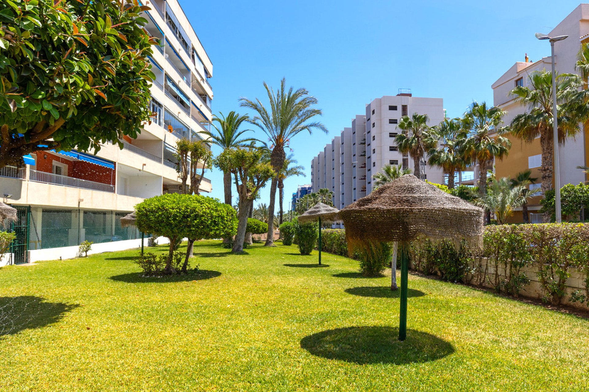 Resale - Apartment / flat -
Orihuela - Rocio del Mar