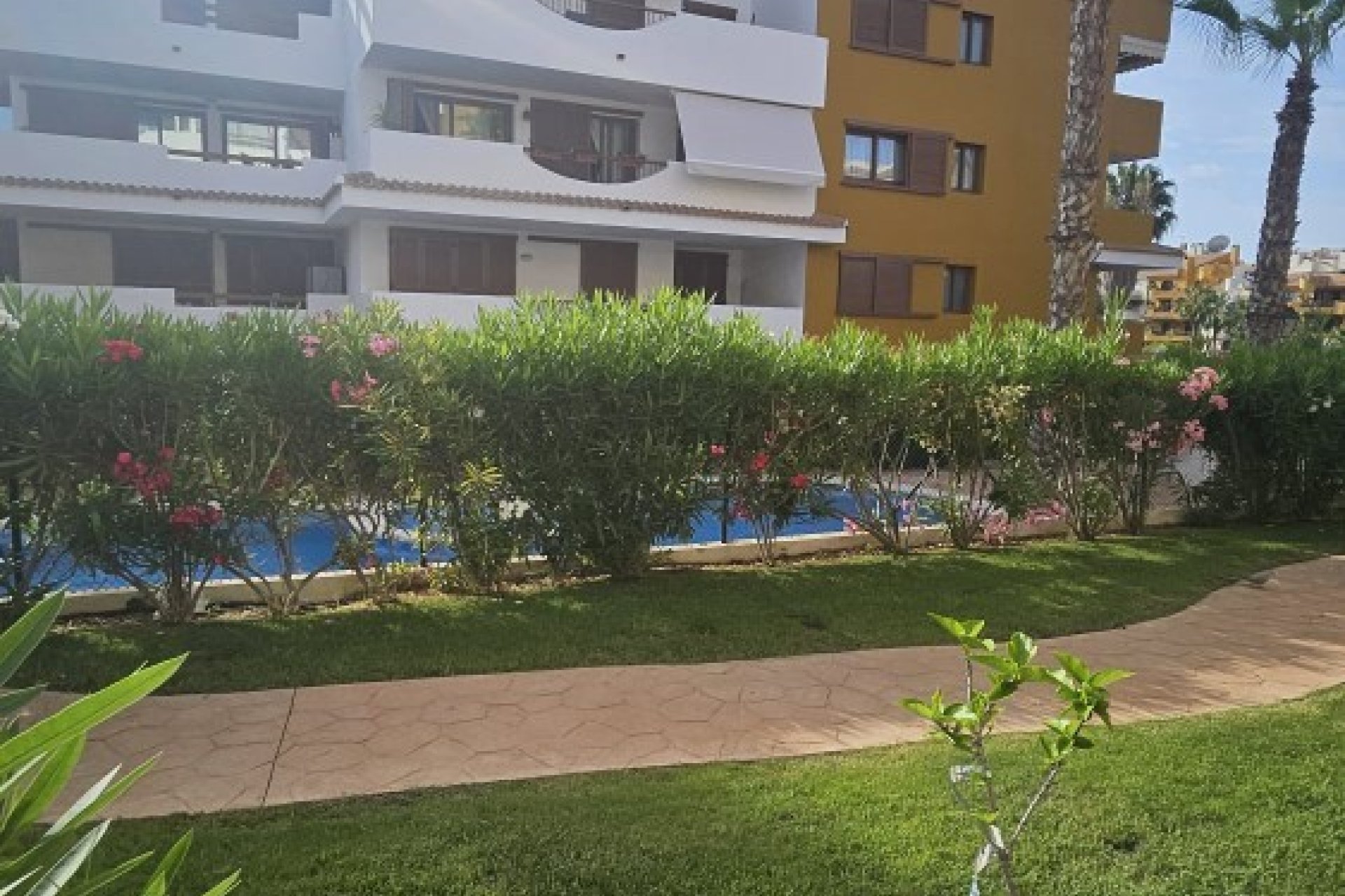 Resale - Apartment / flat -
Punta Prima - La Entrada