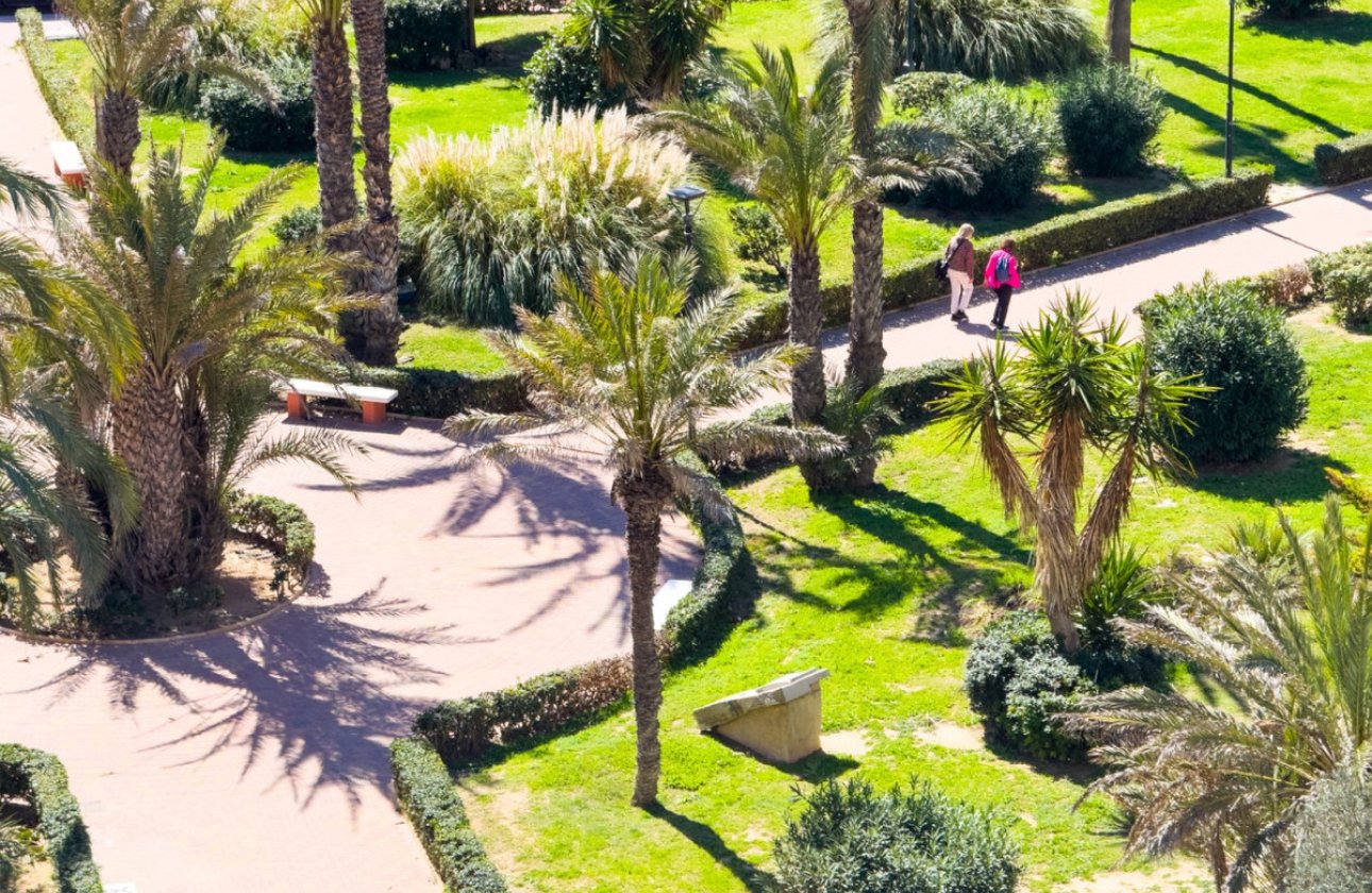 Resale - Apartment / flat -
Torrevieja - La Mata