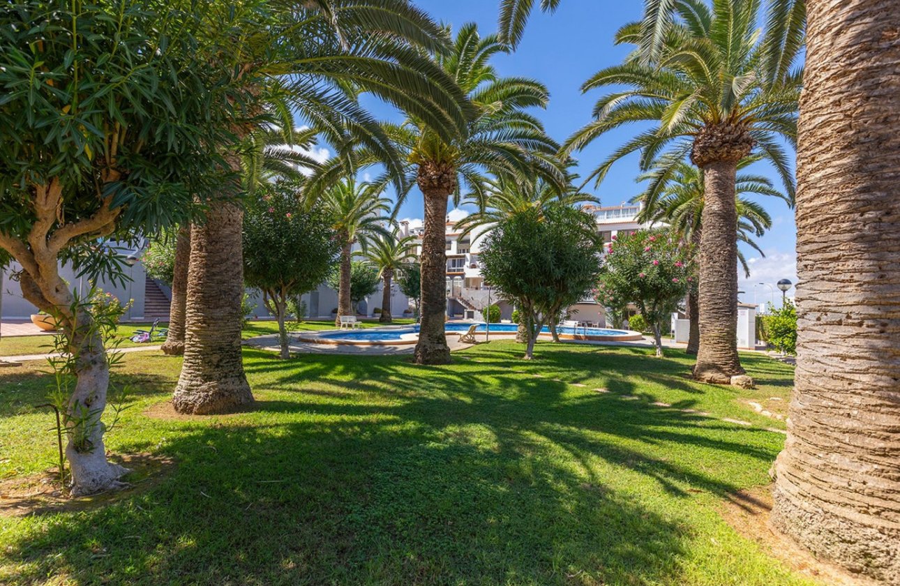 Resale - Apartment / flat -
Torrevieja - La Mata