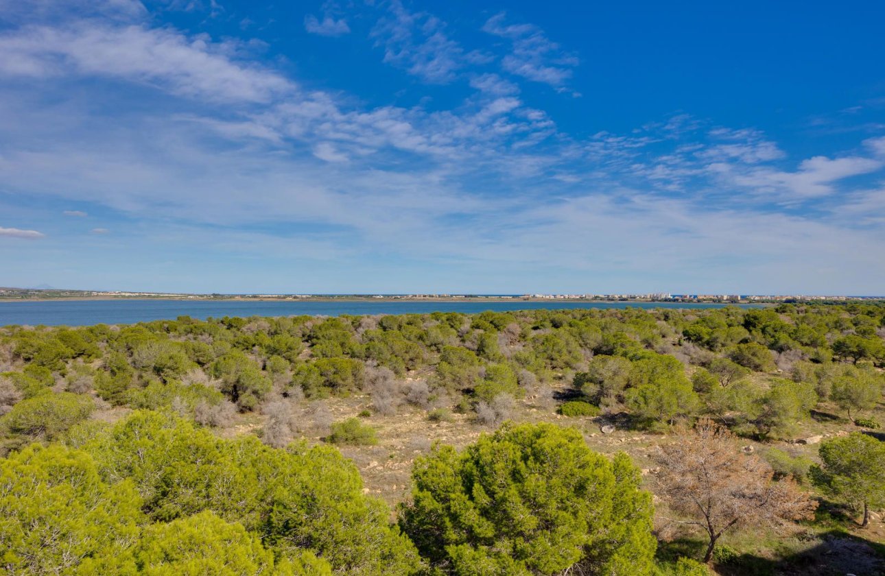 Resale - Apartment / flat -
Torrevieja - San Luis