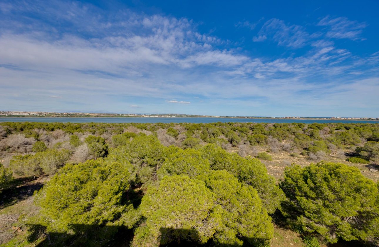 Resale - Apartment / flat -
Torrevieja - San Luis