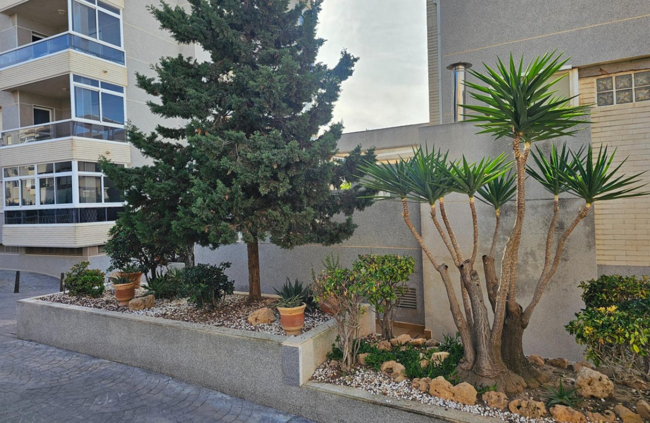 Resale - Apartment / flat -
Torrevieja - Torrevieja Centro