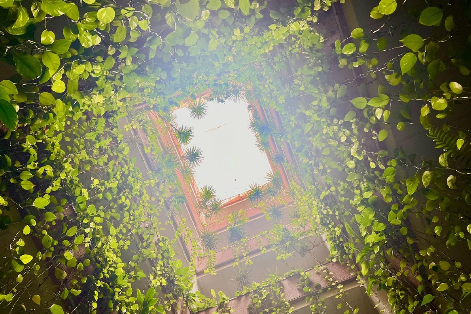 Resale - Apartment / flat -
Torrevieja - Torrevieja Centro