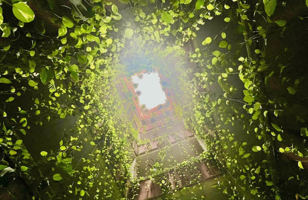 Resale - Apartment / flat -
Torrevieja - Torrevieja Centro