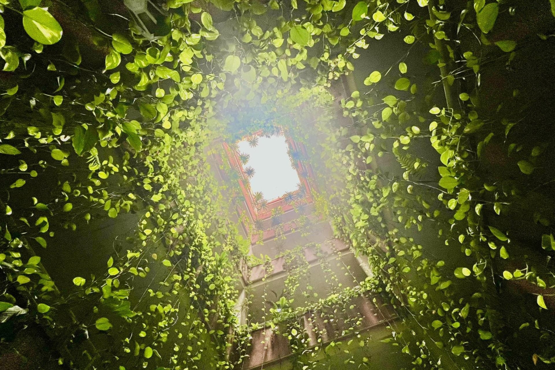 Resale - Apartment / flat -
Torrevieja - Torrevieja Centro