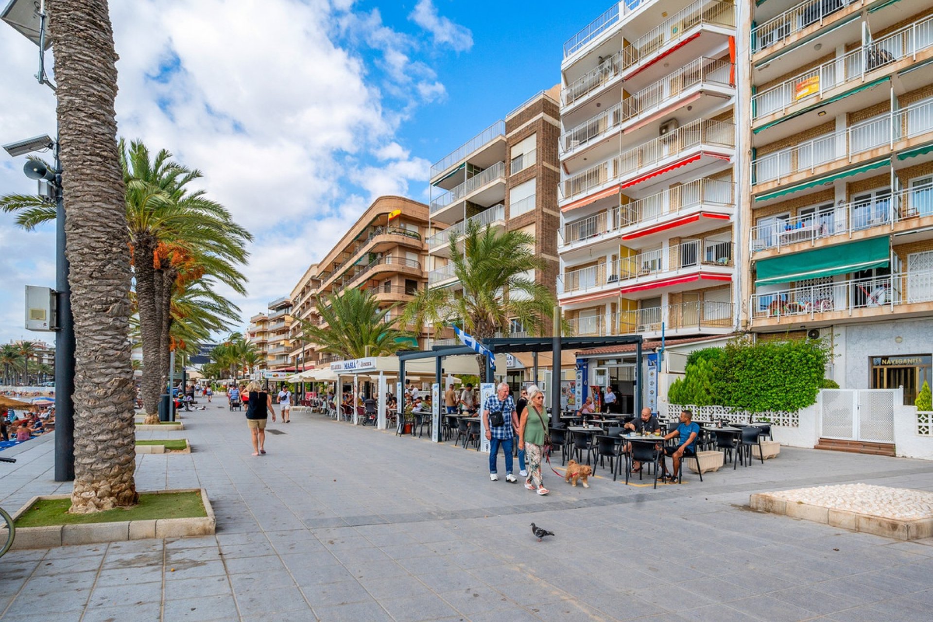 Resale - Apartment / flat -
Torrevieja - Torrevieja Centro