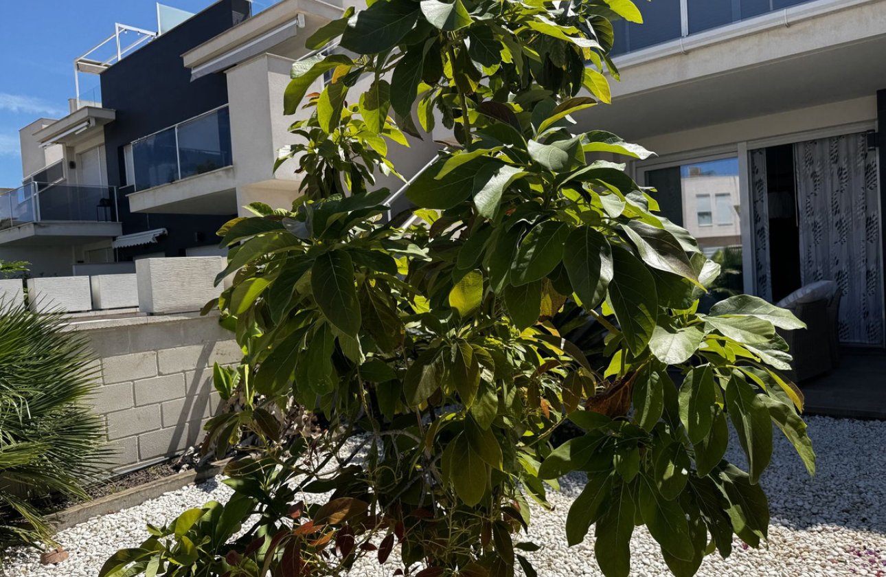 Resale - Apartment / flat -
Torrevieja - Torrevieja Centro