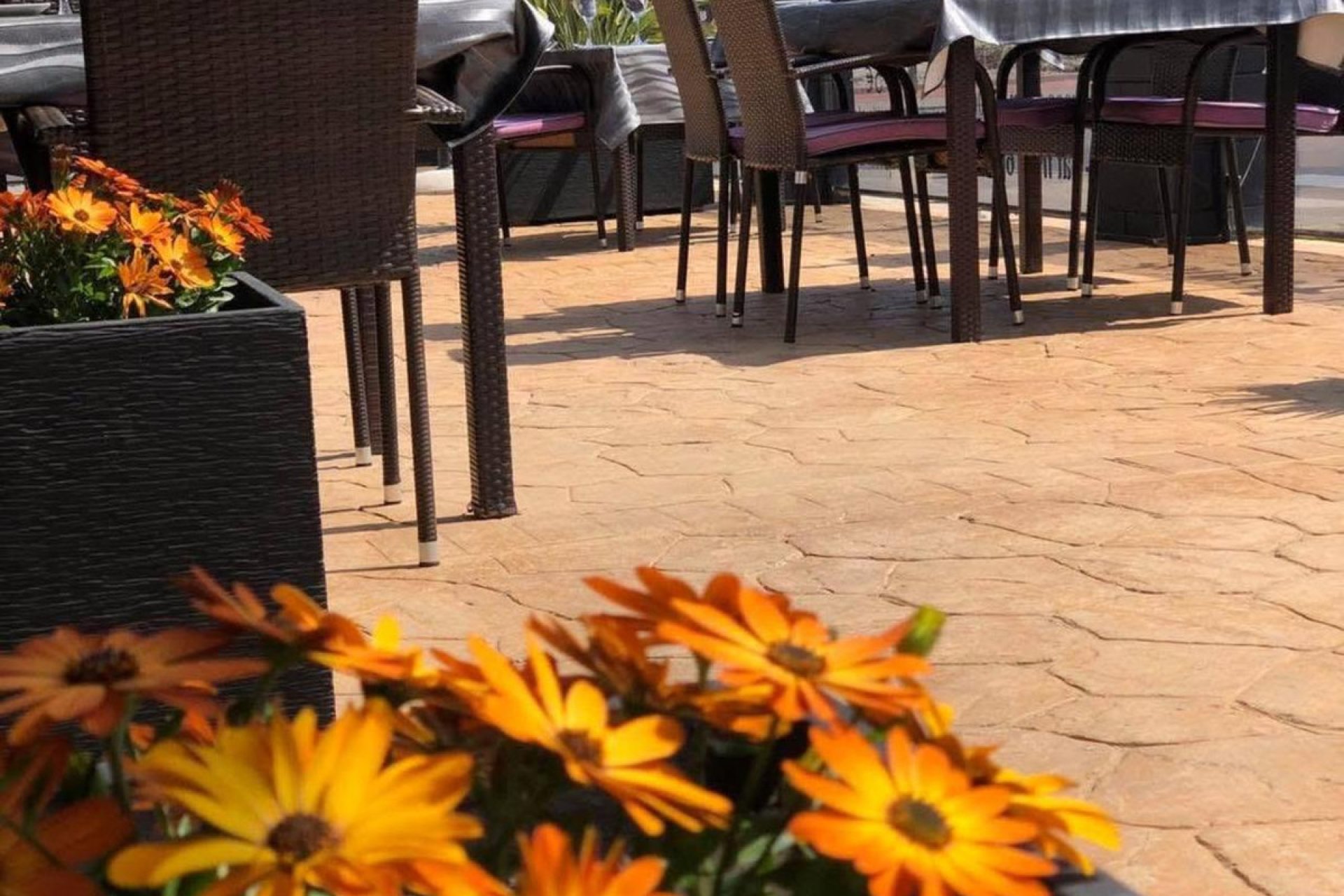 Resale - Commercial property -
Guardamar del Segura - Guardamar del Segura Centro