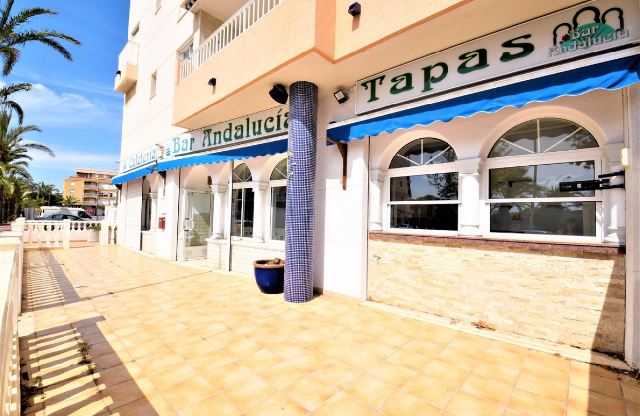 Resale - Commercial property -
Guardamar del Segura - Guardamar del Segura Centro