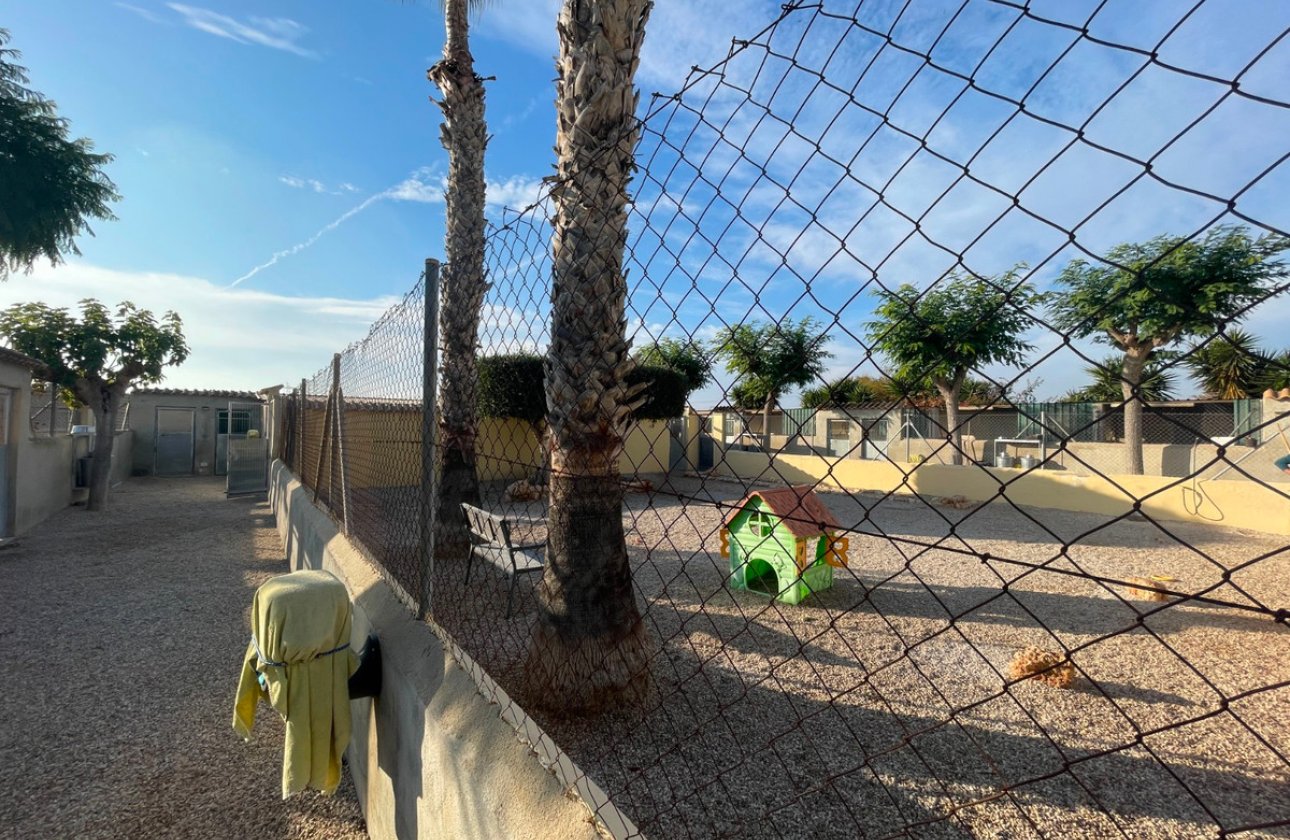 Resale - country house -
Elche - Las Bayas