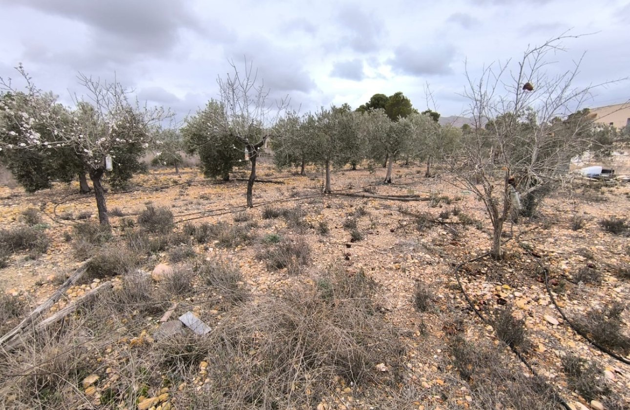 Resale - country house -
La Romana - La Romana Centro