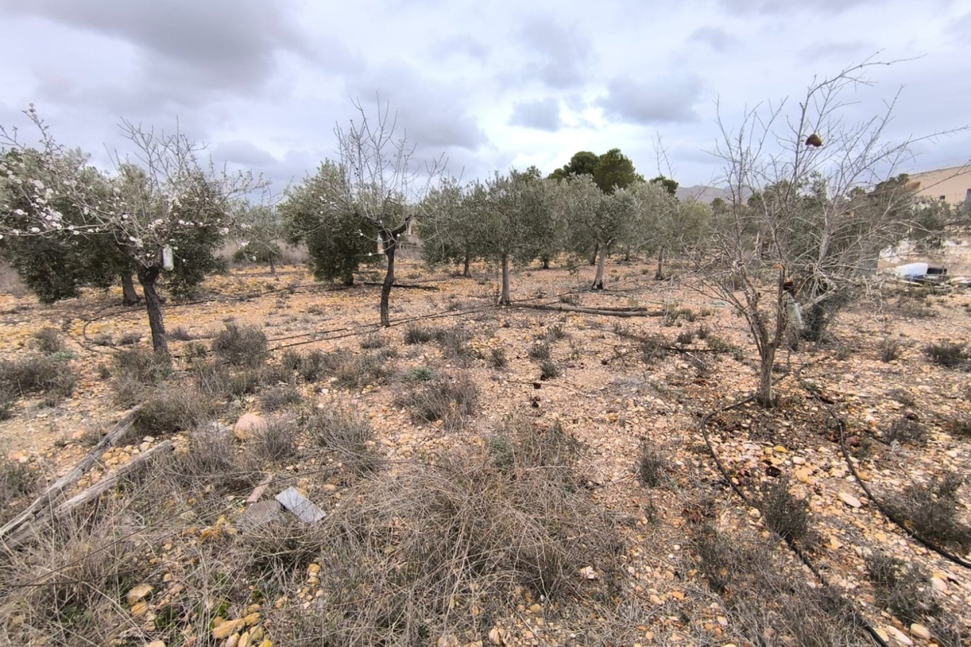 Resale - country house -
La Romana - La Romana Centro