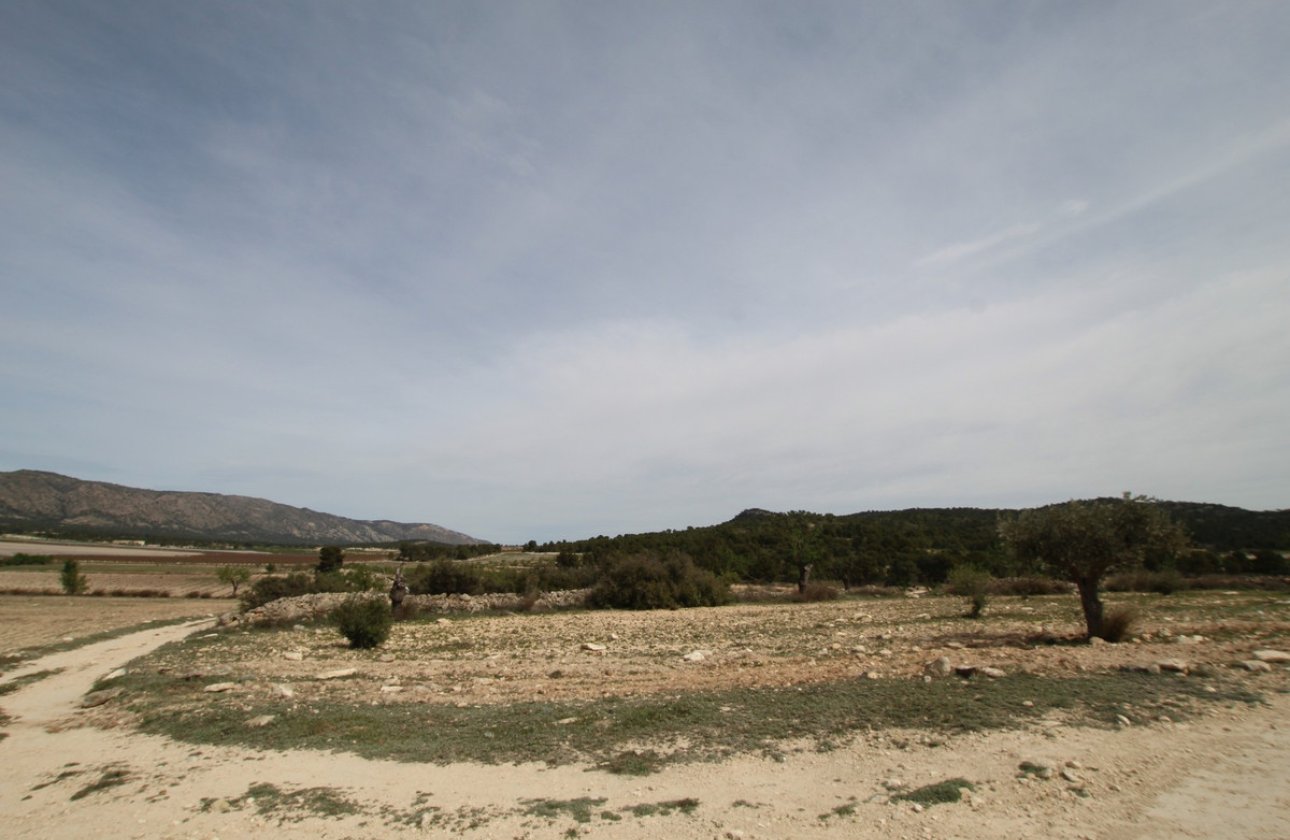 Resale - country house -
Monóvar - Monòver - Monóvar - Monòver Centro