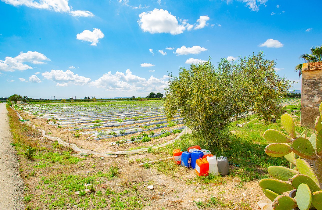 Resale - country house -
San Isidro - San Isidro Centro