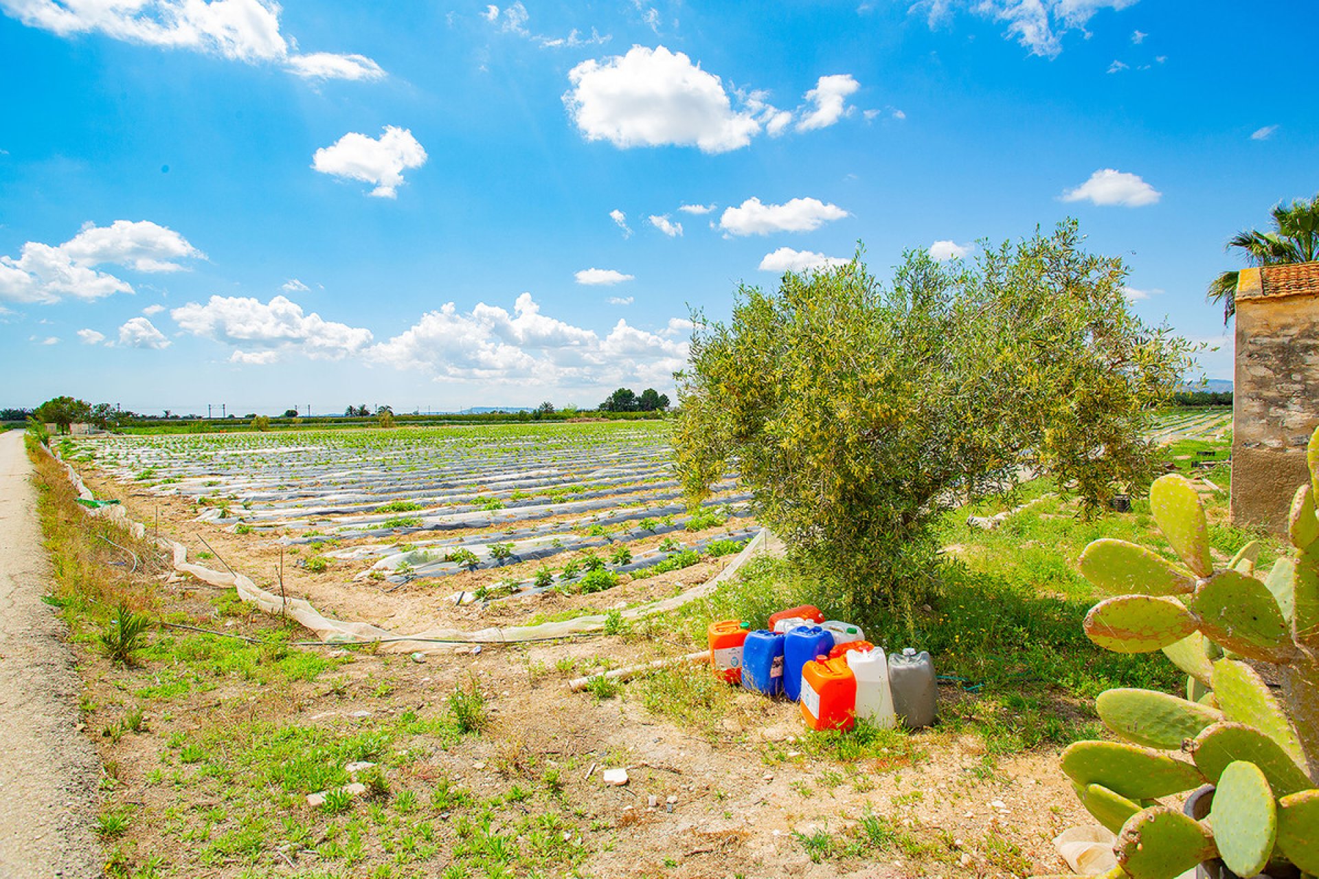 Resale - country house -
San Isidro - San Isidro Centro