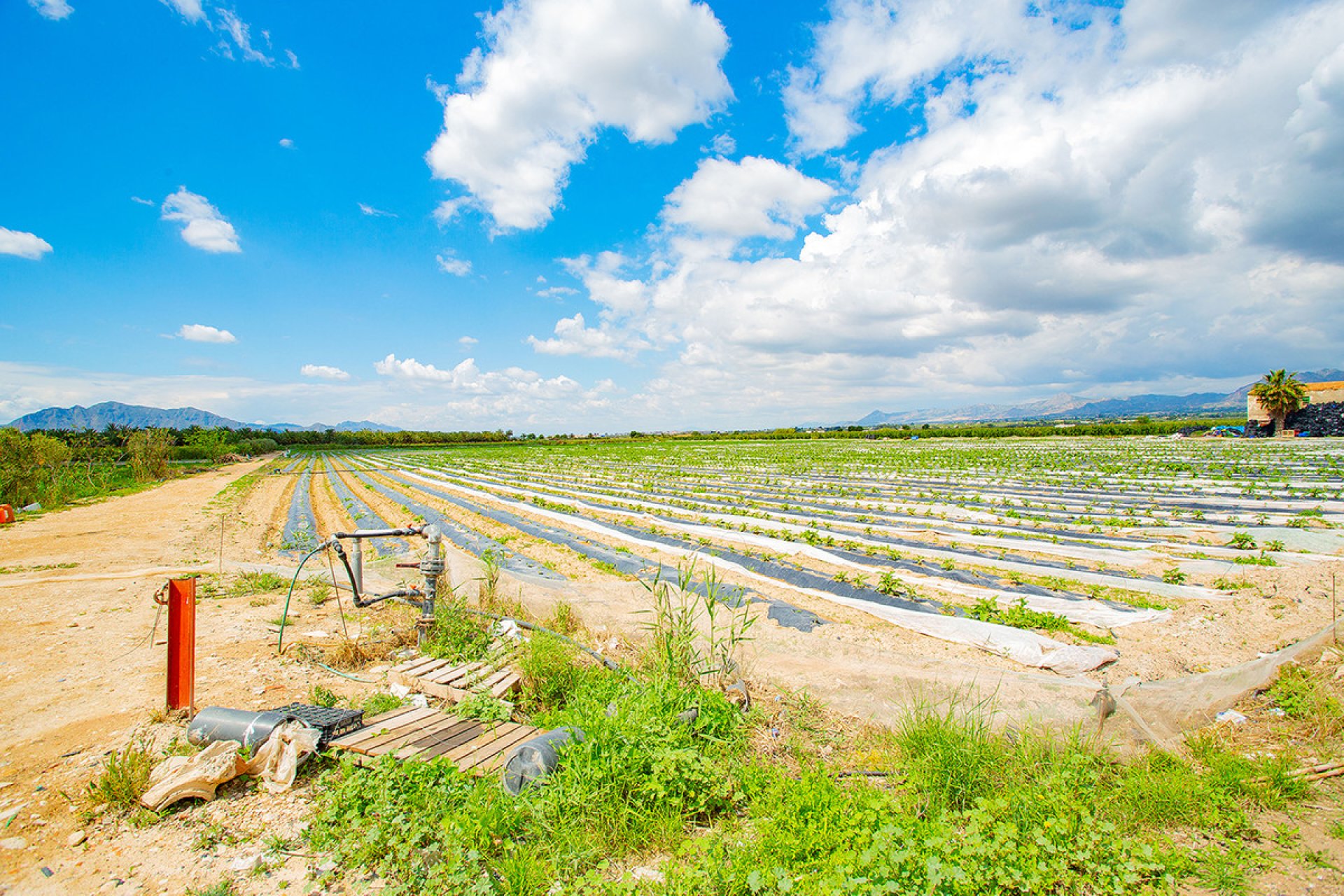 Resale - country house -
San Isidro - San Isidro Centro