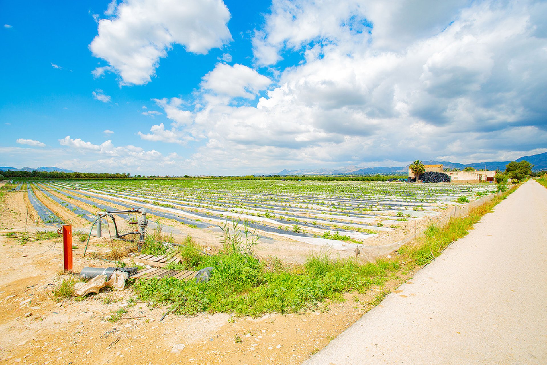 Resale - country house -
San Isidro - San Isidro Centro