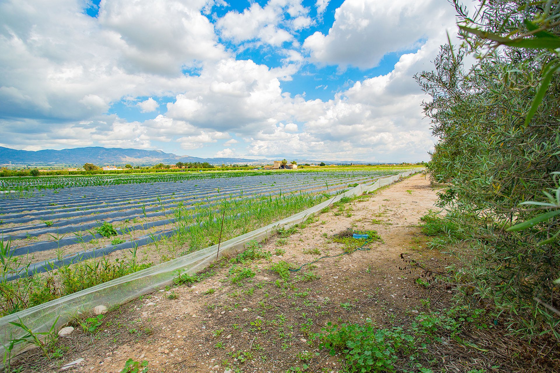 Resale - country house -
San Isidro - San Isidro Centro