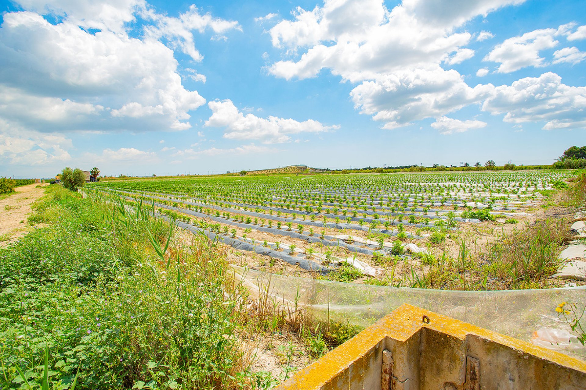 Resale - country house -
San Isidro - San Isidro Centro