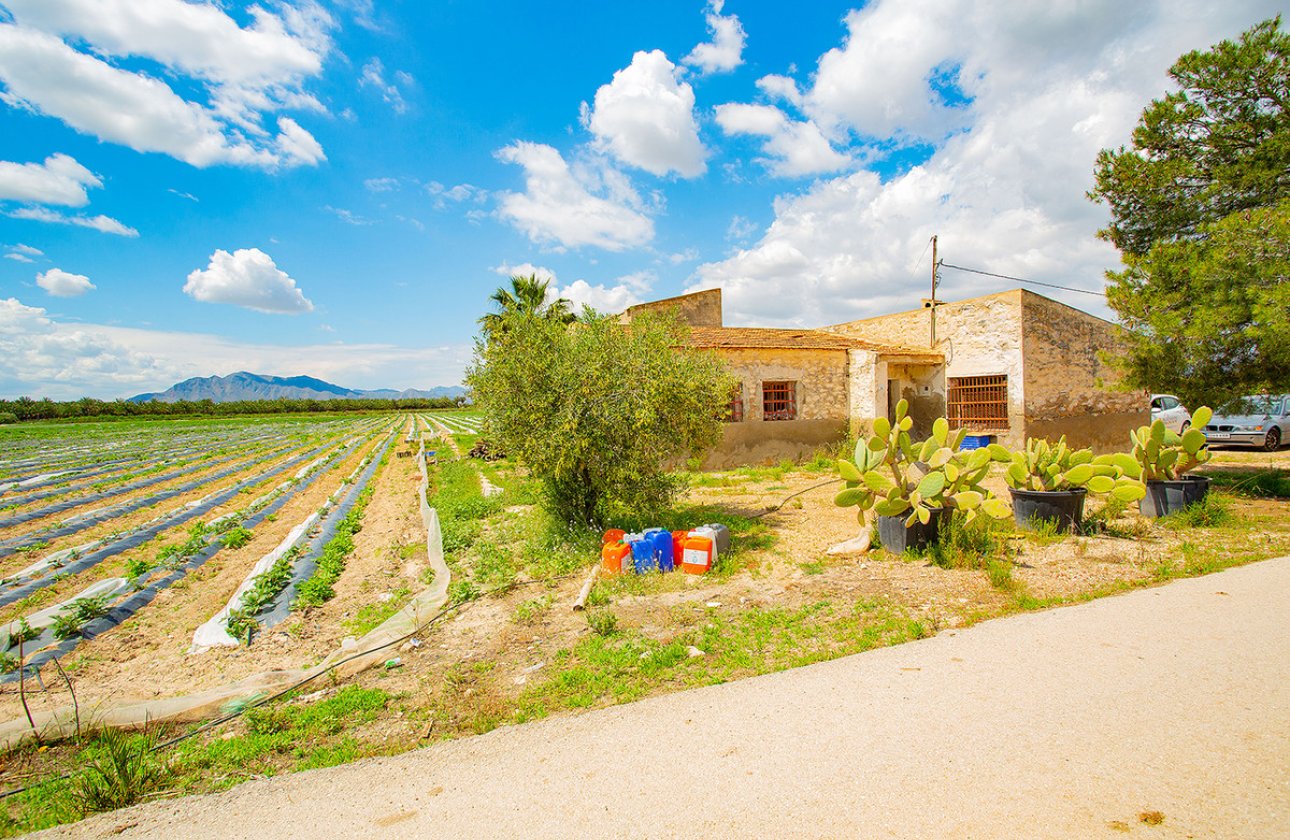 Resale - country house -
San Isidro - San Isidro Centro